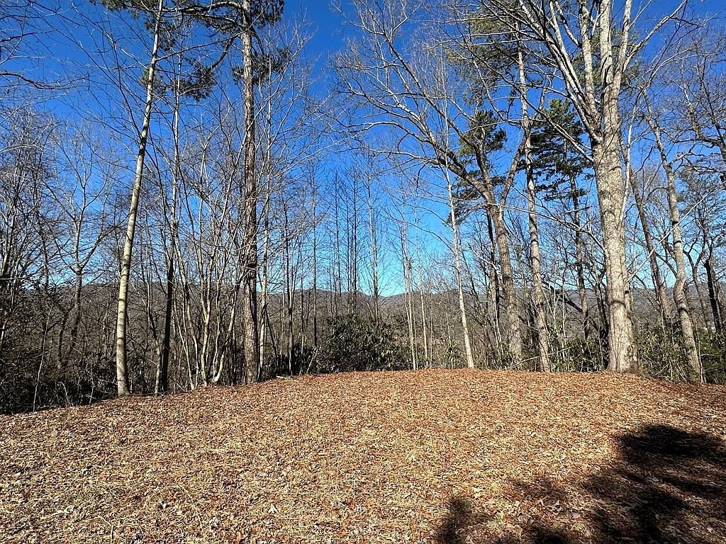 (Undisclosed Address) Marble, NC 28905, 28905