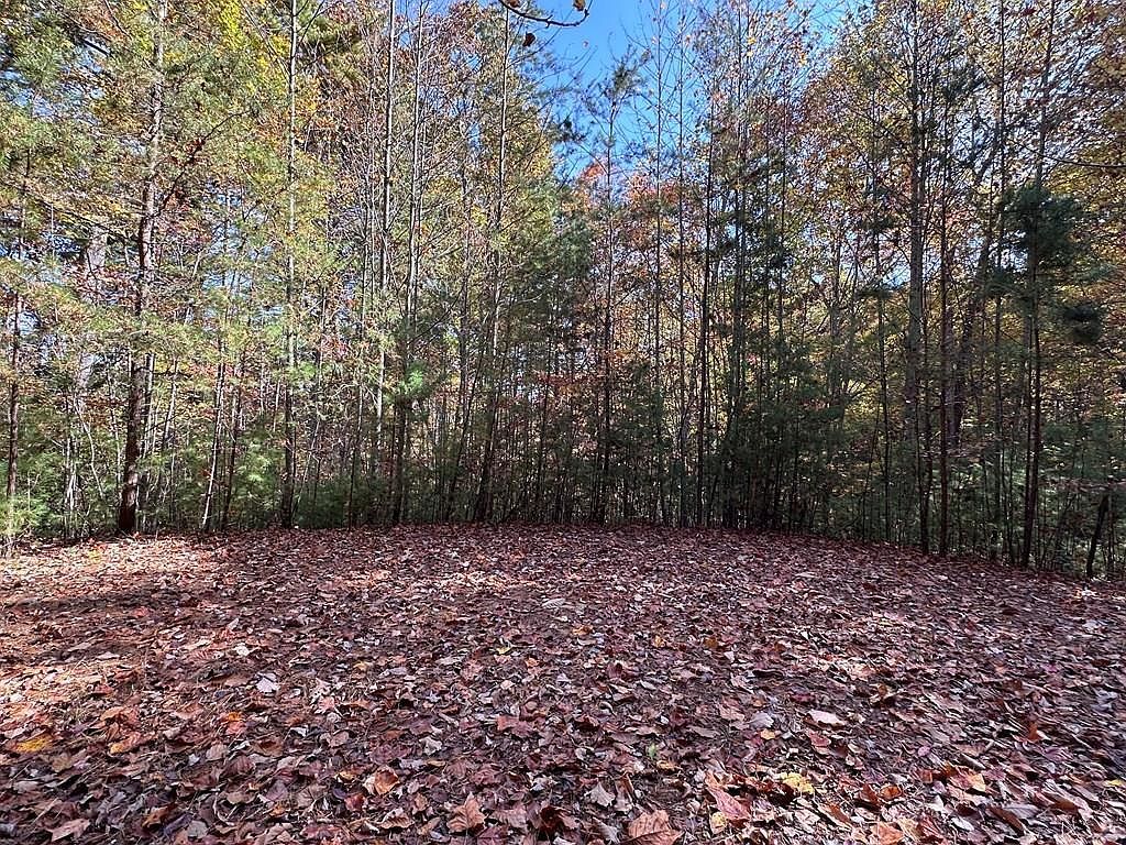 Atoah Loop Murphy, NC 28906, 28906
