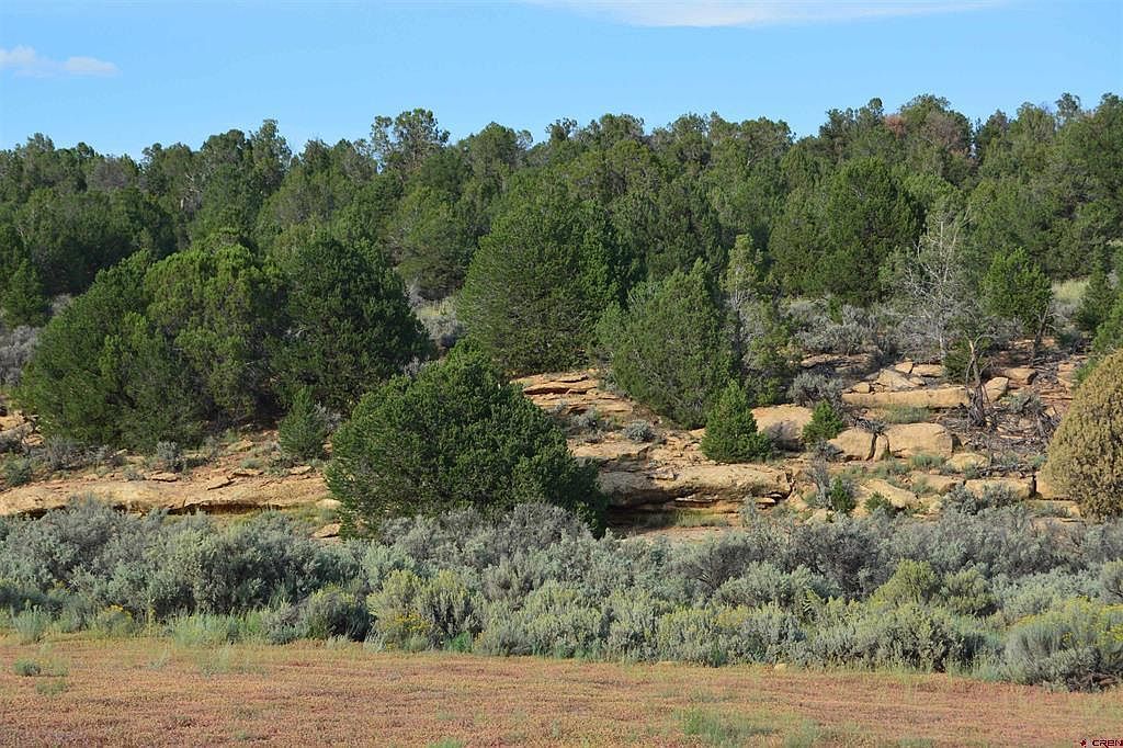 County Road 109 Hesperus, CO 81326 - Thumbnail 2