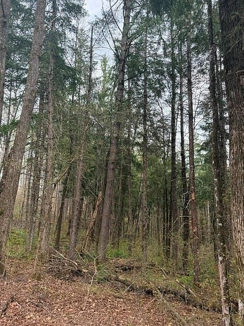 0 N Pederson Rd Hayward, WI 54843, 54843
