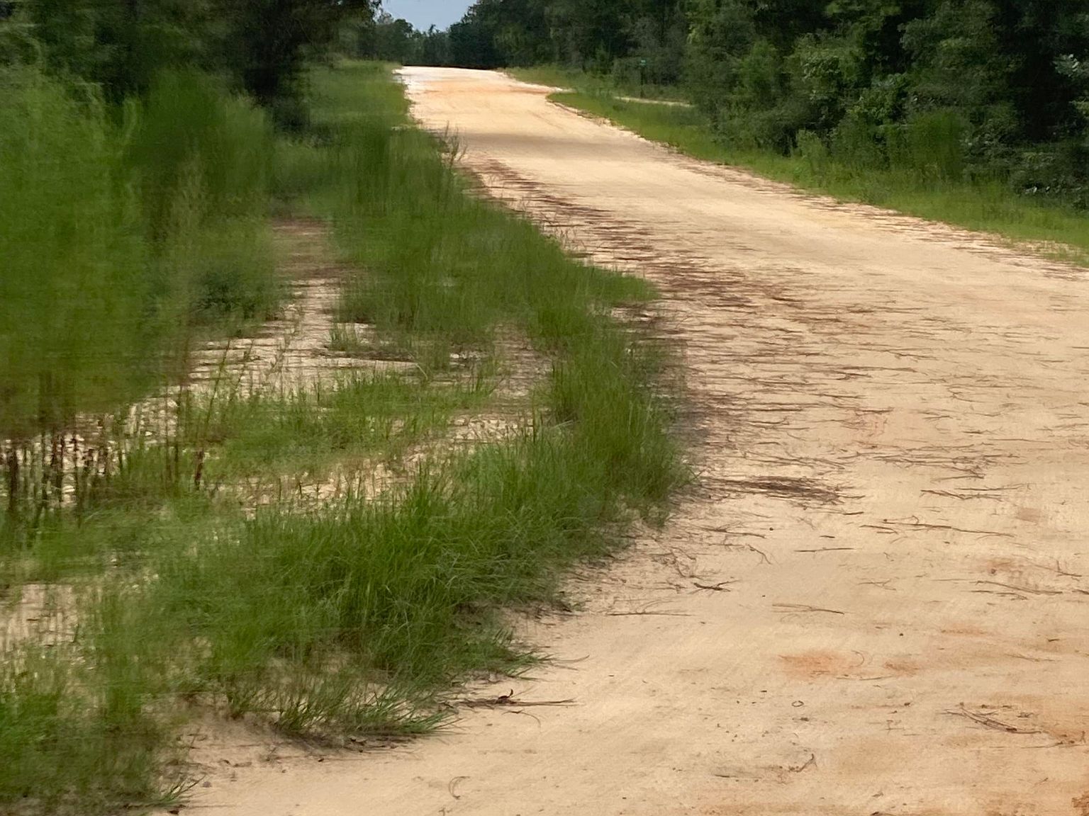 34 Dorcas Rd Marianna, FL 32448 - Thumbnail 2