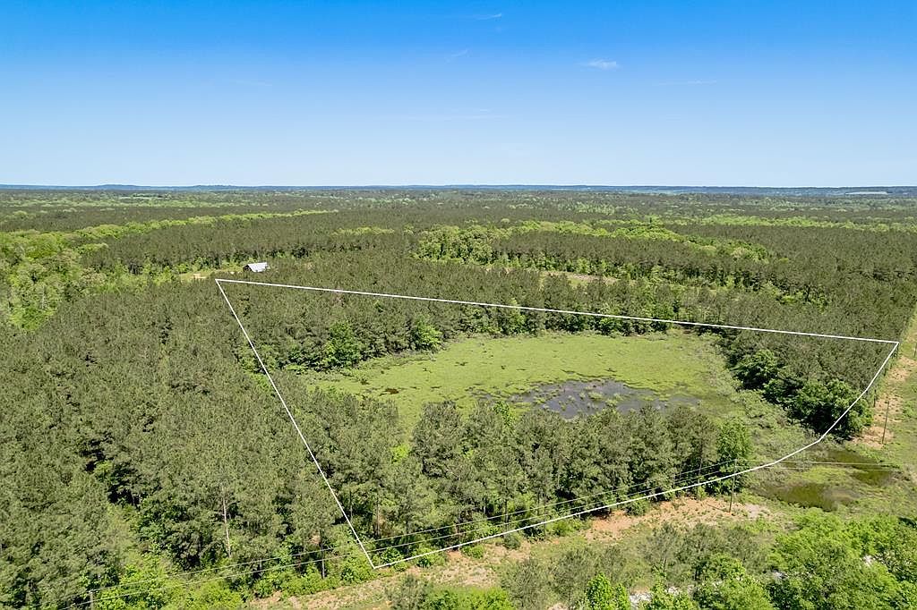 443 Lakepoint Psge Douglass, TX 75943 | Land/Lot