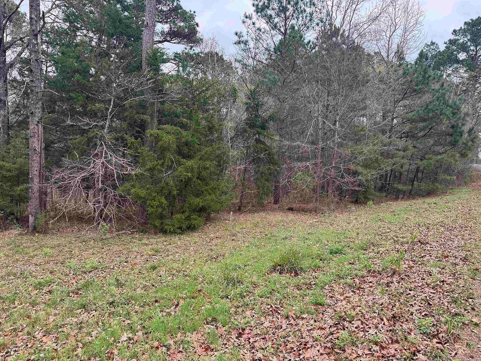 Lots 9 11 Lake Gladewater Rd Gladewater, TX 75647  | Land/Lot