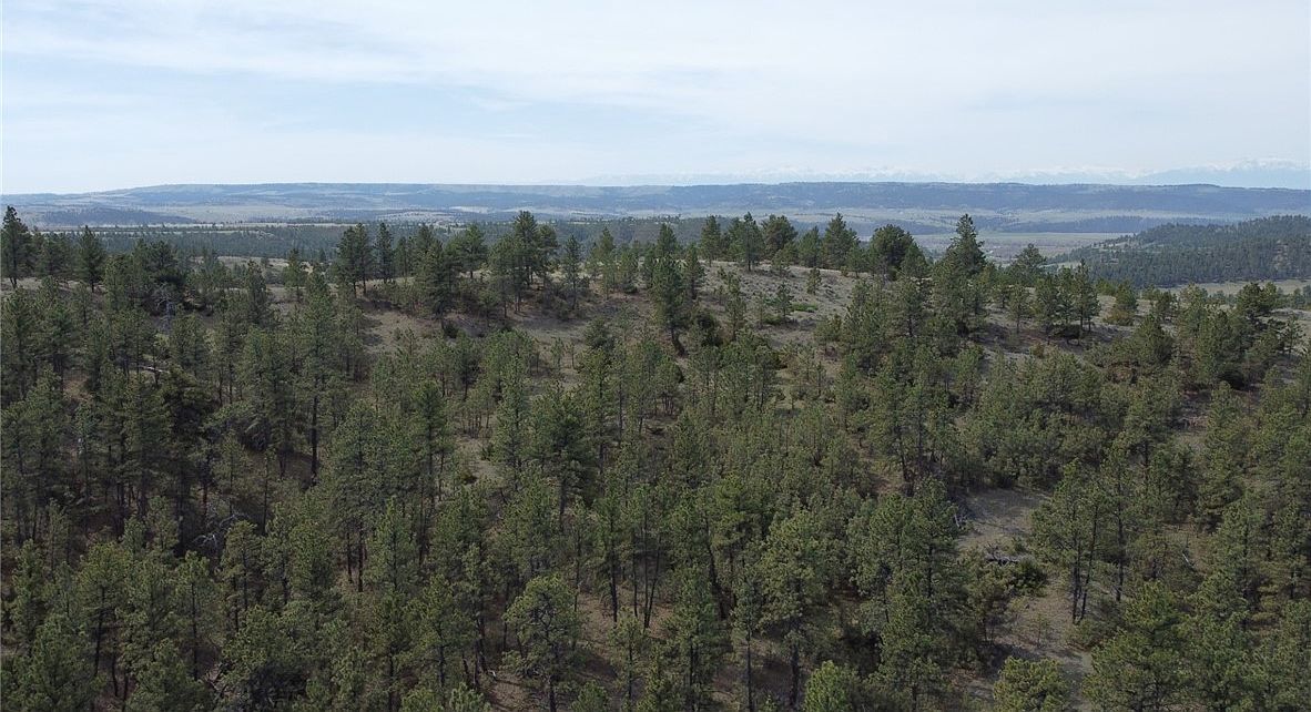 LOT 149 Horse Apple Rd Columbus, MT 59019, 59019