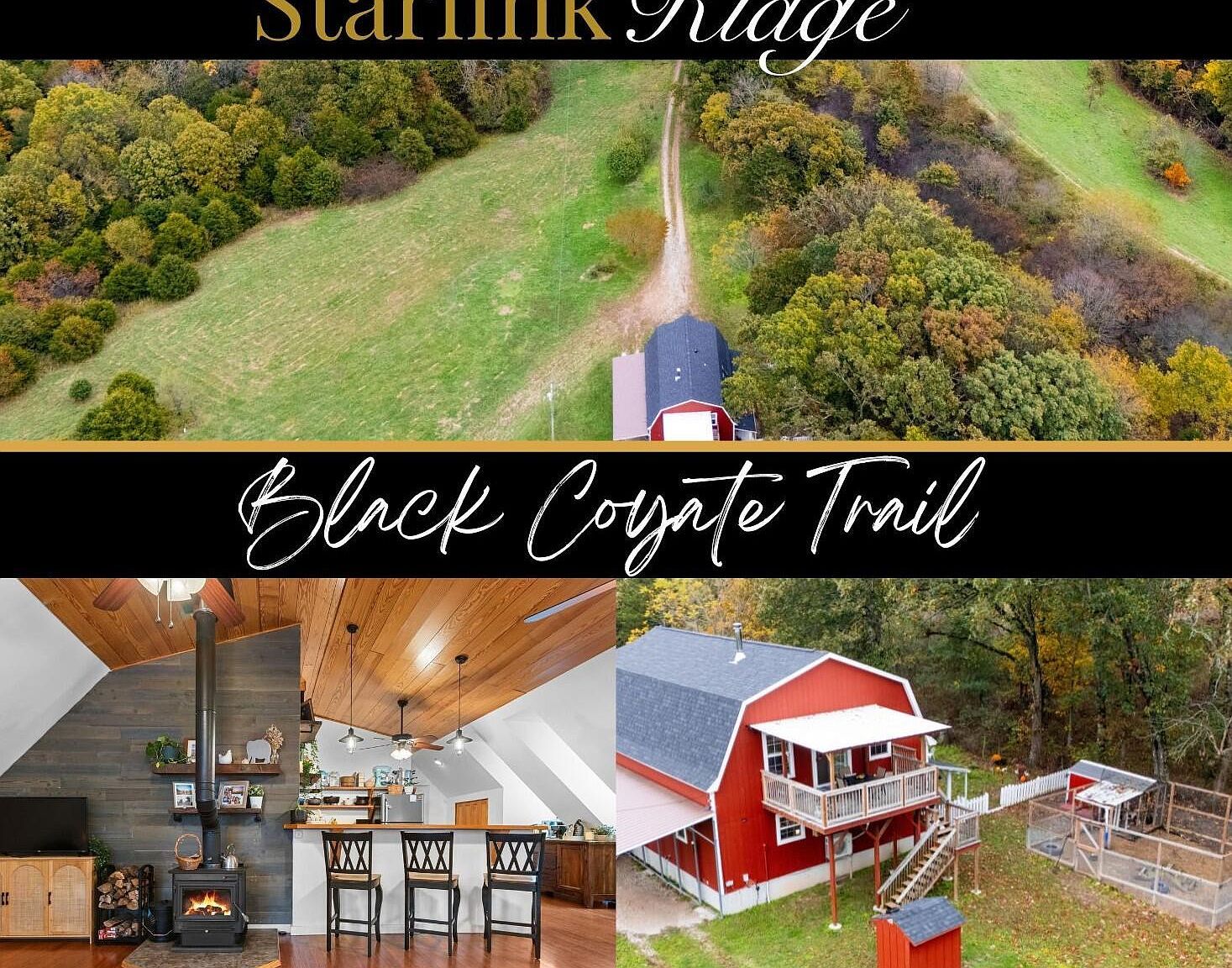 499 Black Coyote Trl Galena, MO 65656 - Thumbnail 2