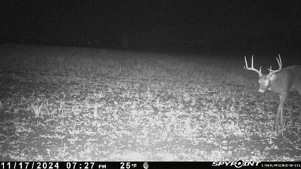 E21504 Karow Rd Augusta, WI 54722 - Thumbnail 2