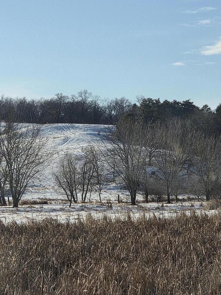 0 Highway 121 Independence, WI 54747 - Thumbnail 2