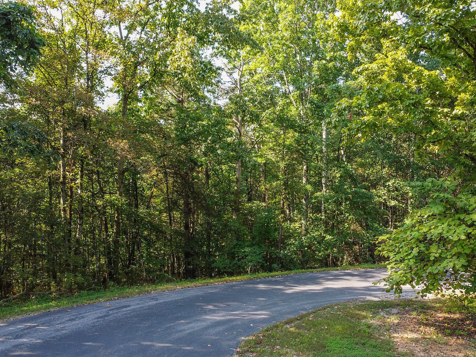 310 Elohi Trce Loudon, TN 37774 - Thumbnail 2