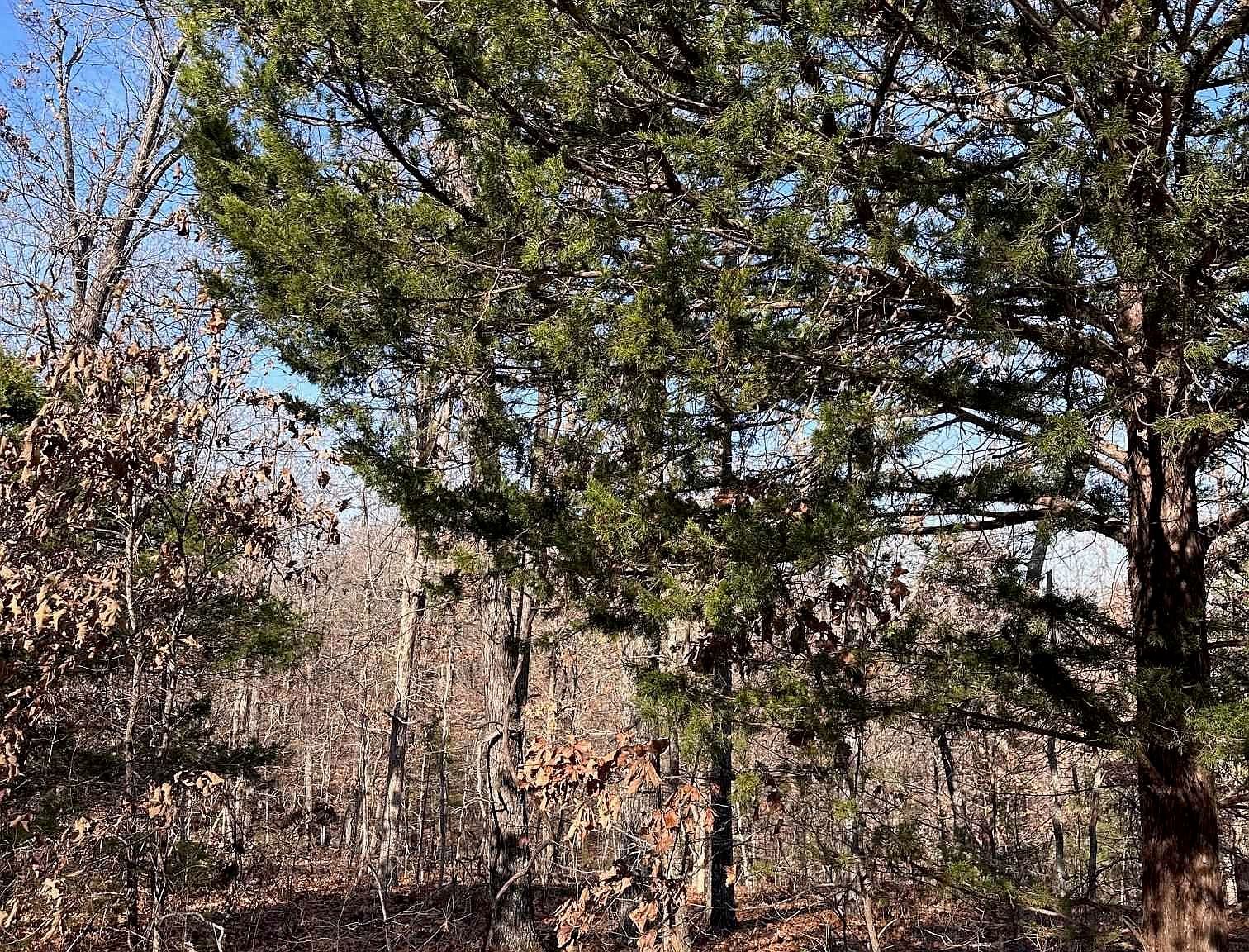 0 Loxahatchee Cir Cherokee Village, AR 72529 - Thumbnail 2