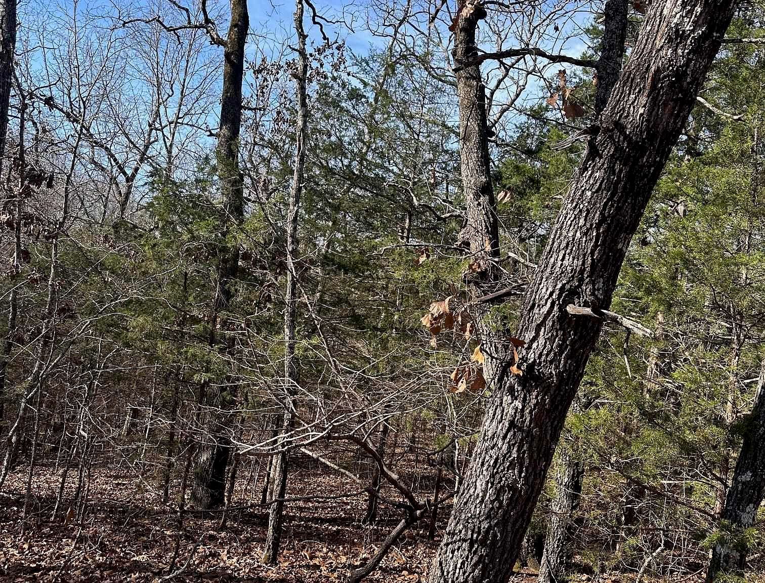 0 Chippewa Dr Cherokee Village, AR 72529 - Thumbnail 2