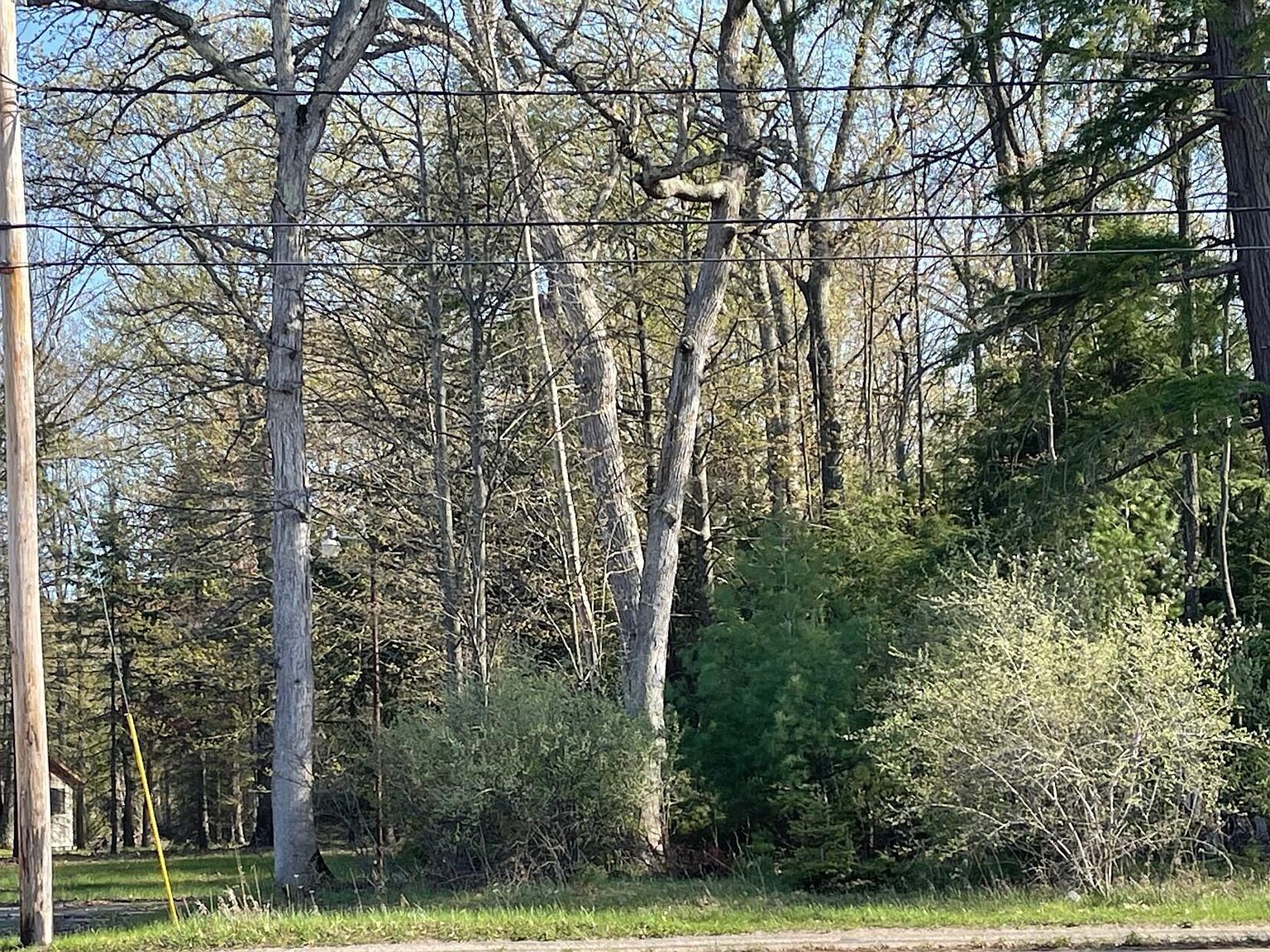 6 W Houghton Lake Dr Prudenville, MI 48651 - Thumbnail 2