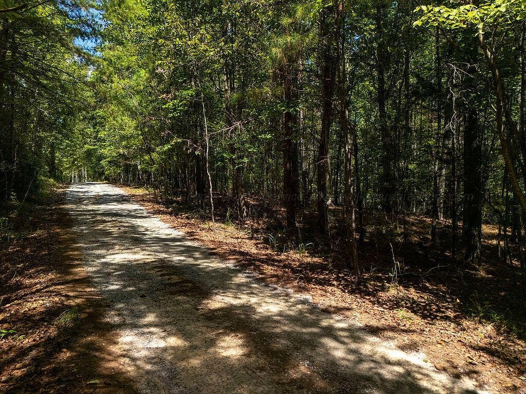 9 Ridgeview Dr Jasper, AL 35504 - Thumbnail 2