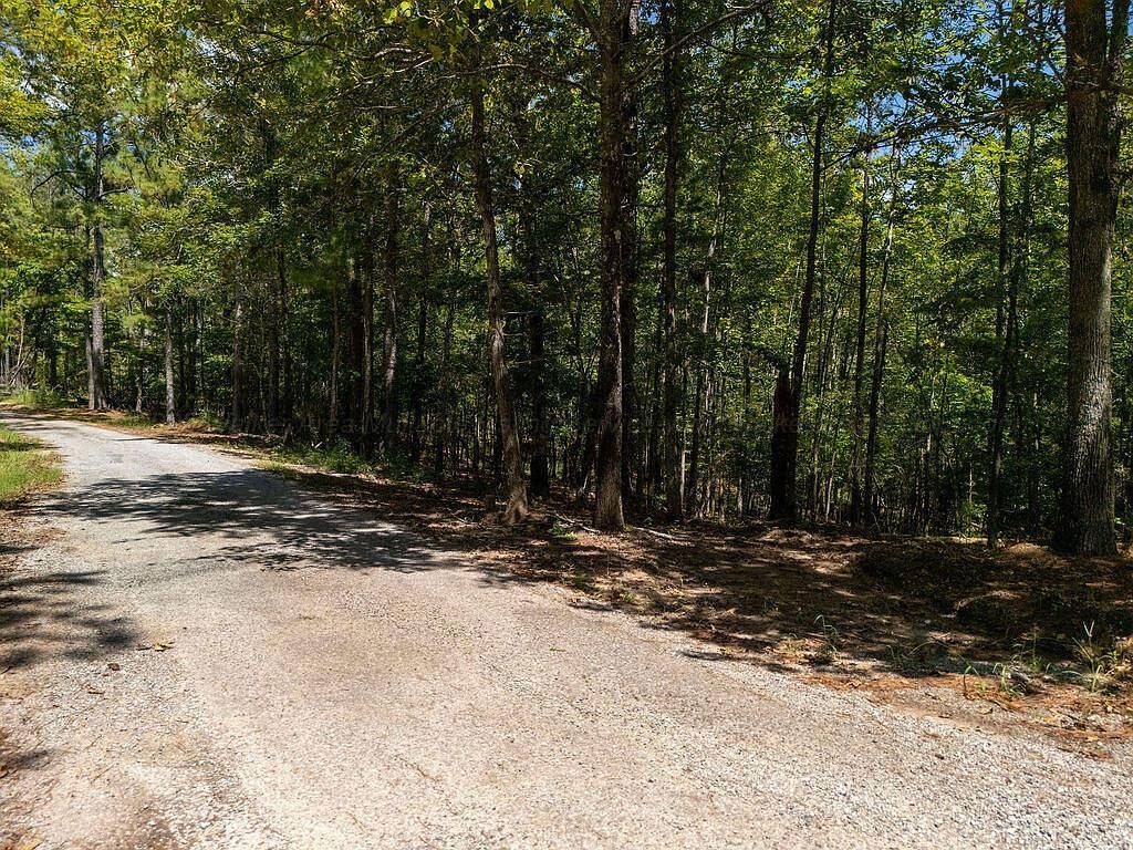 10 Ridgeview Dr Jasper, AL 35504 - Thumbnail 2