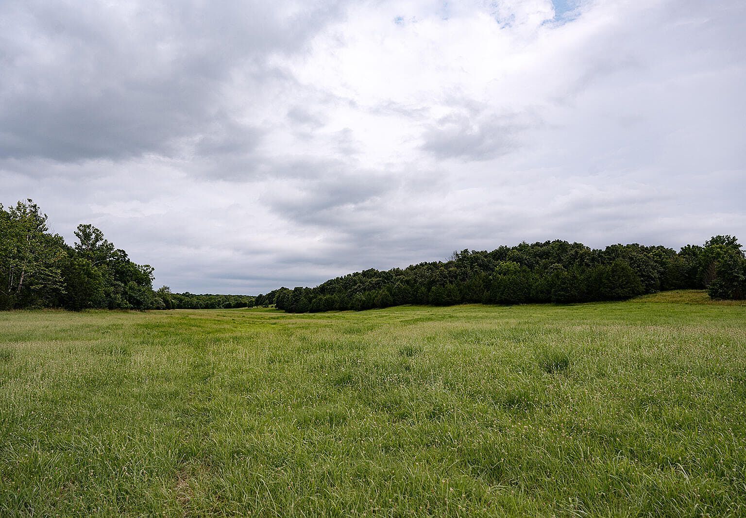 31926 County Road 40 Cross Timbers, MO 65634 - Thumbnail 2