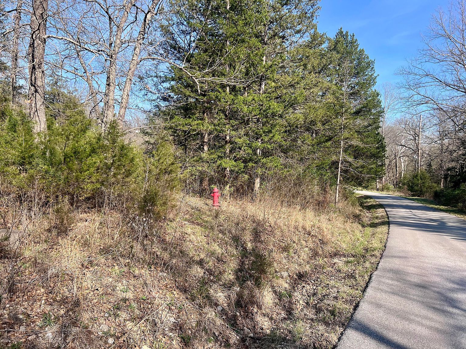 0 Indian Ln Hermitage, MO 65668 - Thumbnail 2