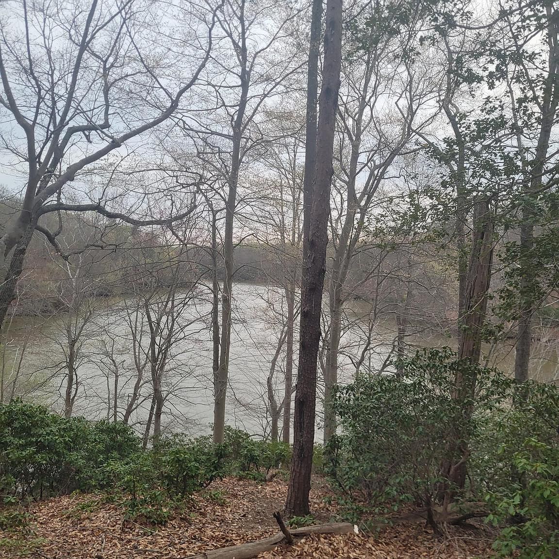 12728 Cordova Ct Lusby, MD 20657 - Thumbnail 2