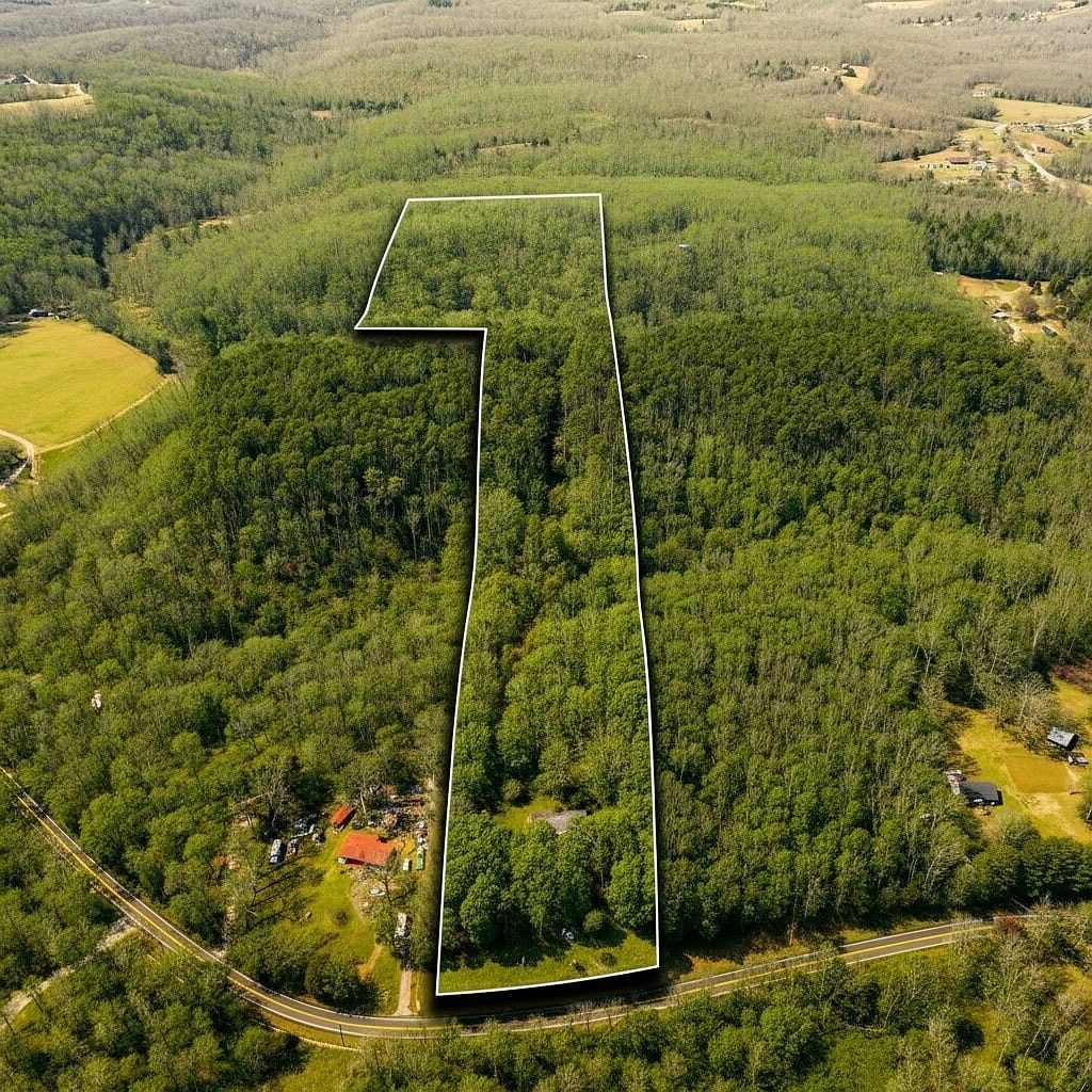 7822 Barnhill Rd, Primm Springs, TN, 38476 - Thumbnail 2