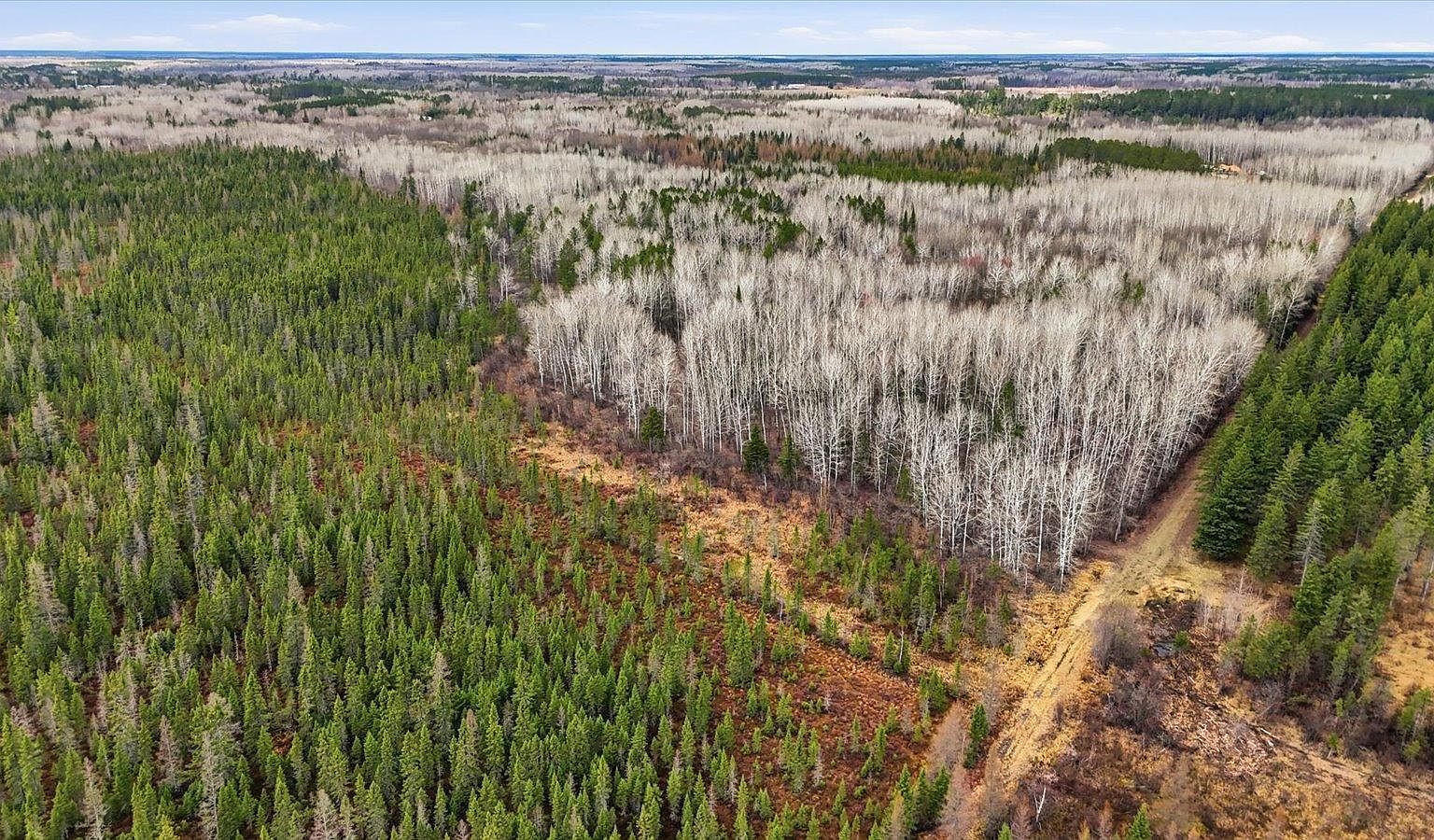 Town Rd #55 Big Falls, MN 56627, 56627