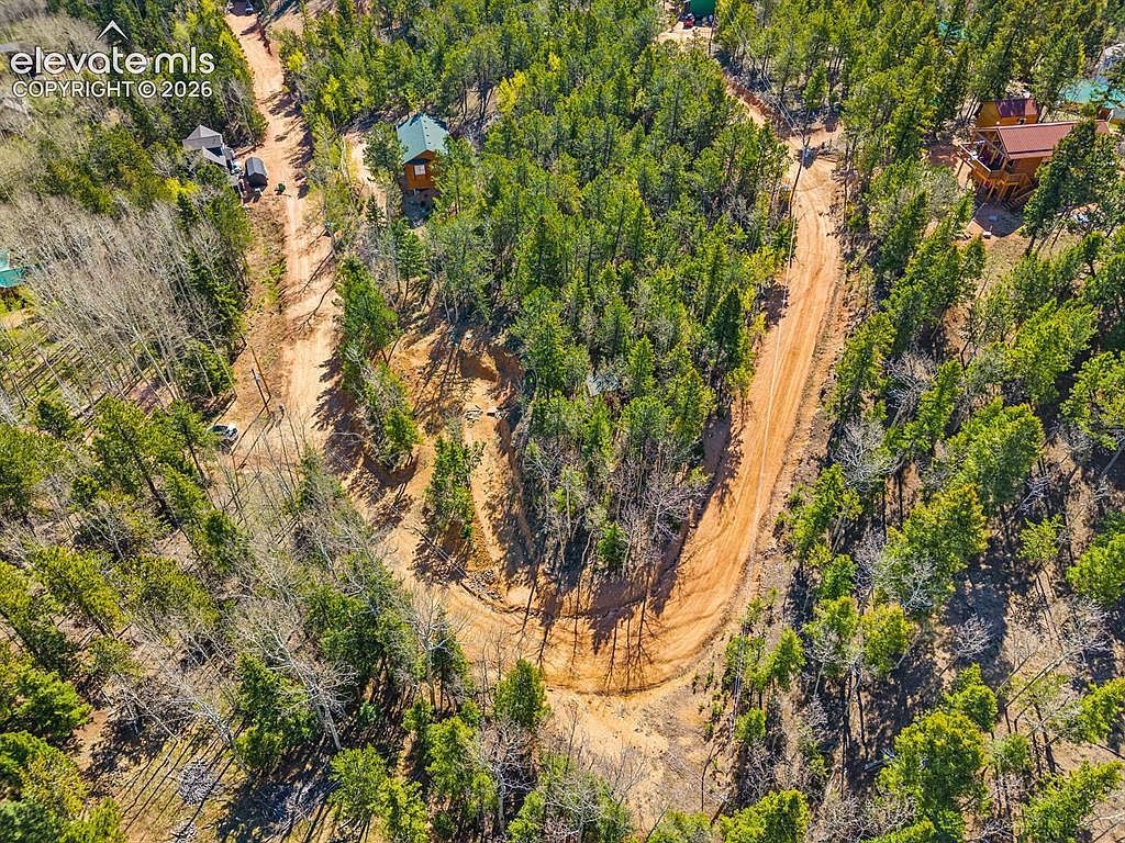 413 Wakanda Trl Woodland Park, CO 80863 | Land/Lot