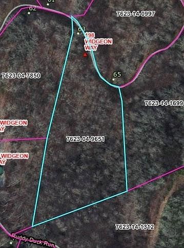 198 Wigeon Way Simpson, NC 27879 | Land/Lot