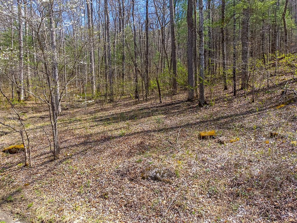 306 Cedar Creek Farm Rd Tuckasegee, NC 28783  | Land/Lot