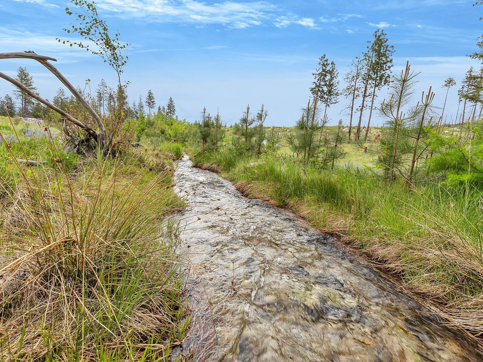 11 Roaring Lion Rd Hamilton, MT 59840 - Thumbnail 2