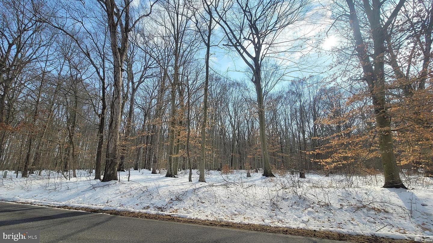 266 White Marsh Rd Centreville, MD 21617 - Thumbnail 2