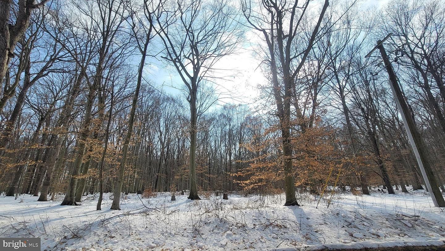 262 White Marsh Rd Centreville, MD 21617 - Thumbnail 2