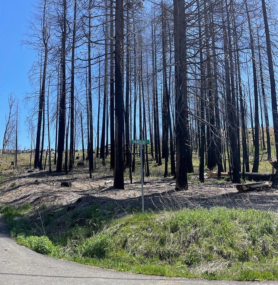 5106 Parkside Dr Grizzly Flats, CA 95636 - Thumbnail 2