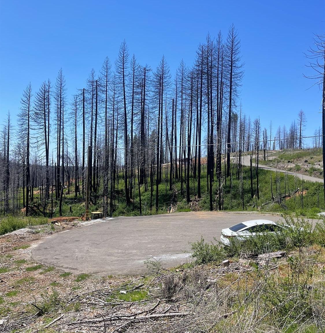 4905 Deerwood Ct Grizzly Flats, CA 95636 - Thumbnail 2