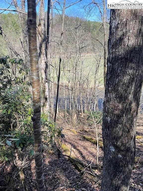 Spruce Ln Crumpler, NC 28617 - Thumbnail 2