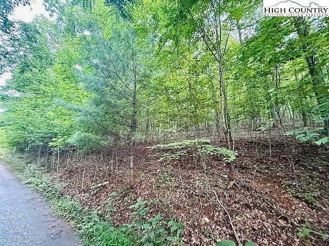 29 Winter St Jefferson, NC 28640 - Thumbnail 2