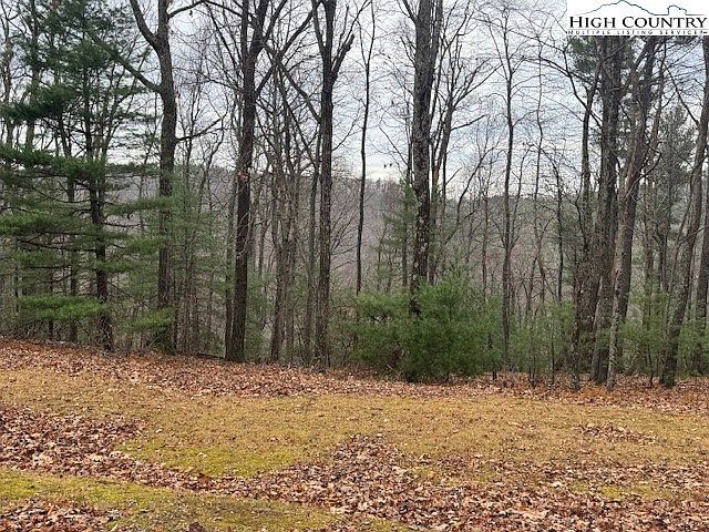 Jobs Rd Millers Creek, NC 28651 - Thumbnail 2