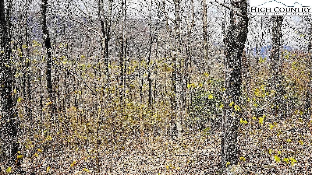 Tbd Fairway Ridge Dr West Jefferson, NC 28694 - Thumbnail 2