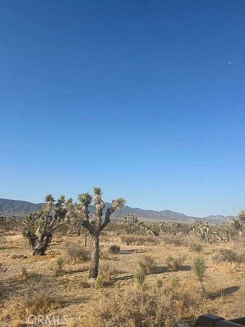 0 E Ave W #8 Palmdale, CA 93591 - Thumbnail 2