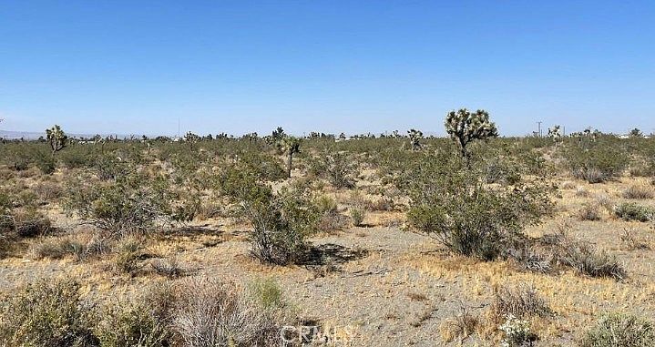 0 Avenue W #14 Llano, CA 93544  | Land/Lot