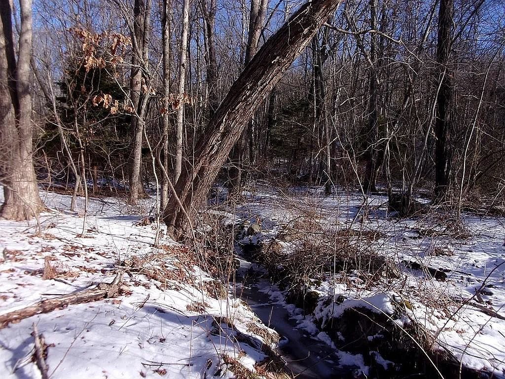 90 Chestnut Hill Rd Millville, MA 01529 - Thumbnail 2