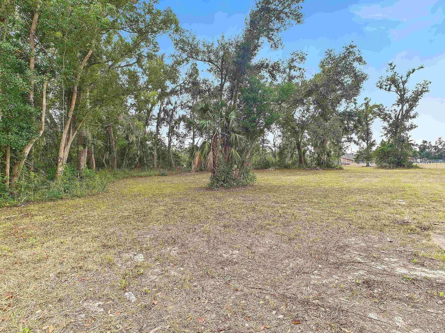 Vacant Marshall Dr Perry, FL 32347 - Thumbnail 2