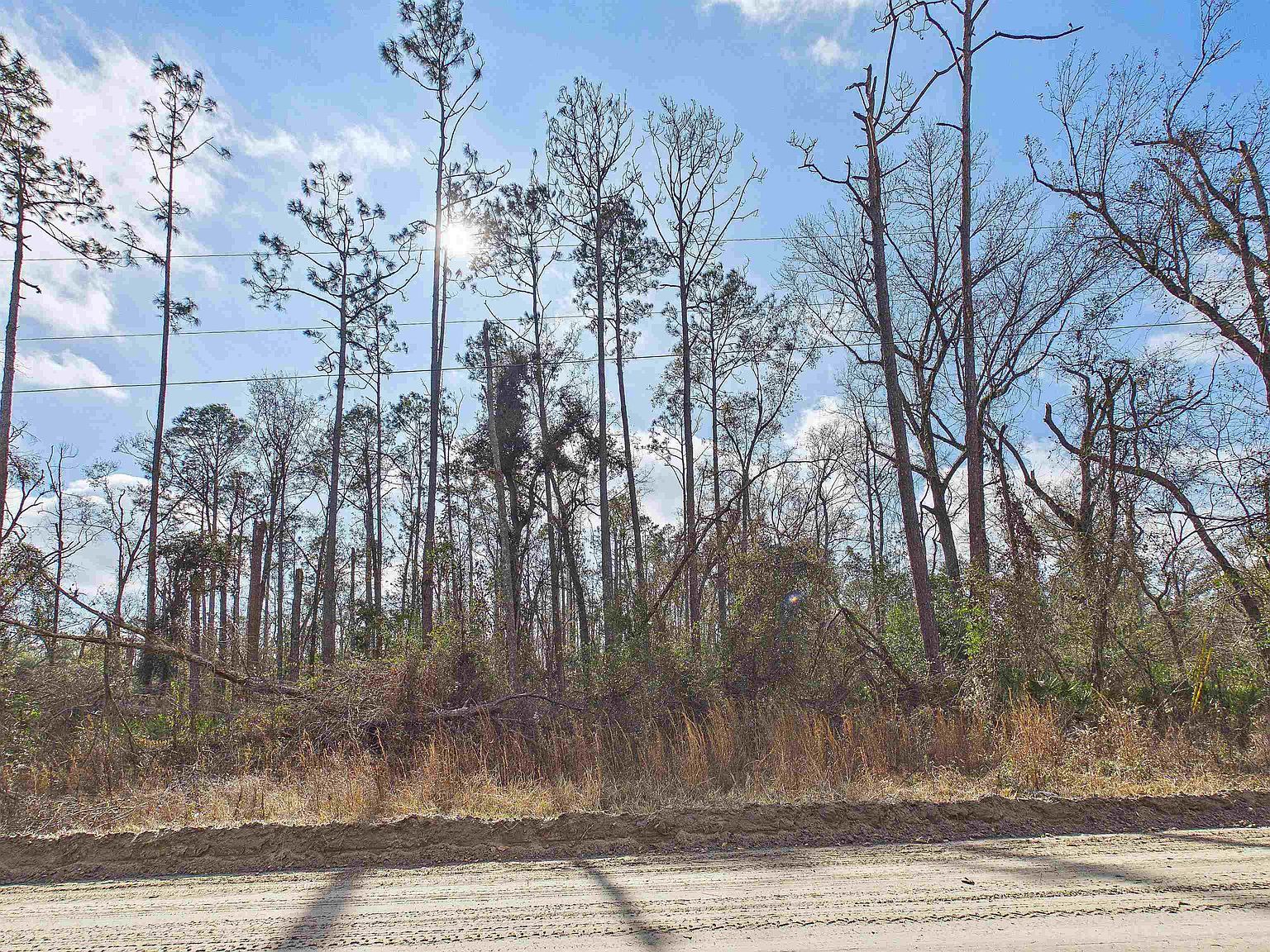 Vacant Ne River Park Rd Lee, FL 32059 - Thumbnail 2