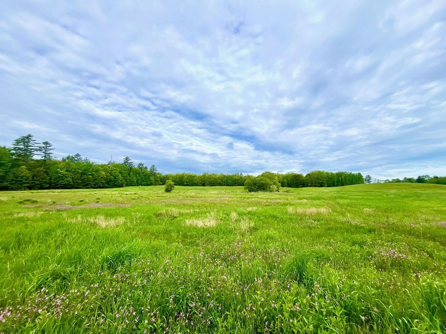 30 Joan Dixon Way Buxton, ME 04093 - Thumbnail 2