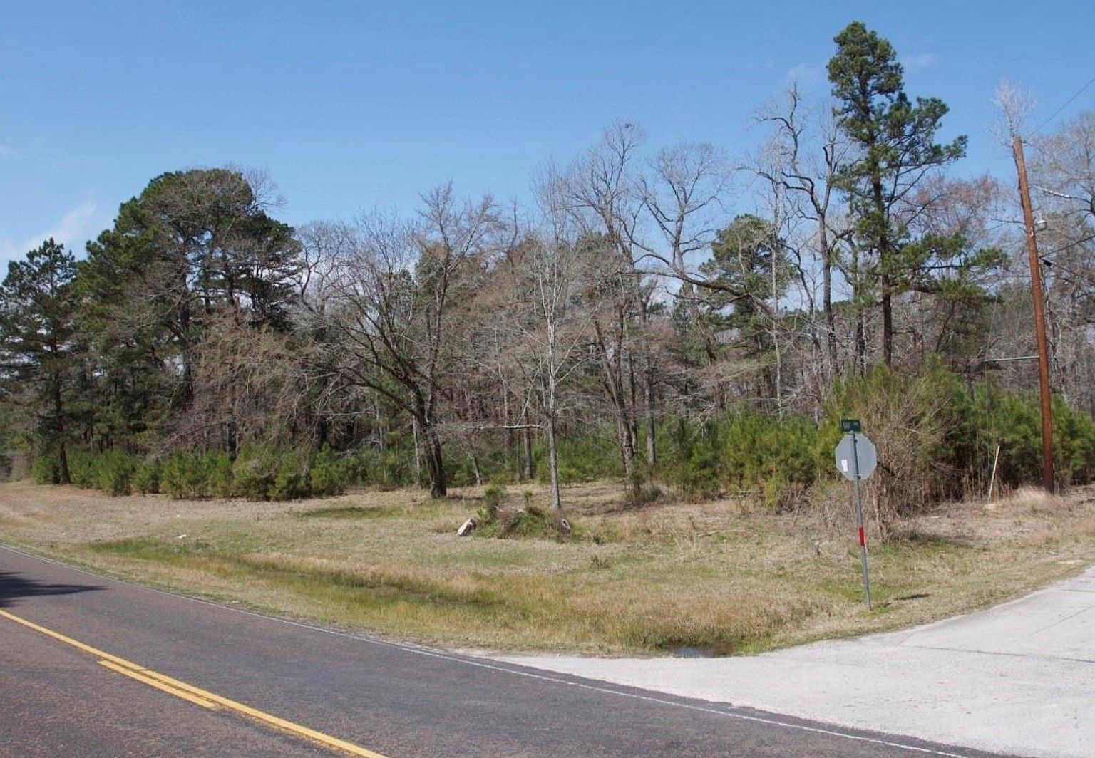 4345 Fm 3188 Trinity, TX 75862 - Thumbnail 2