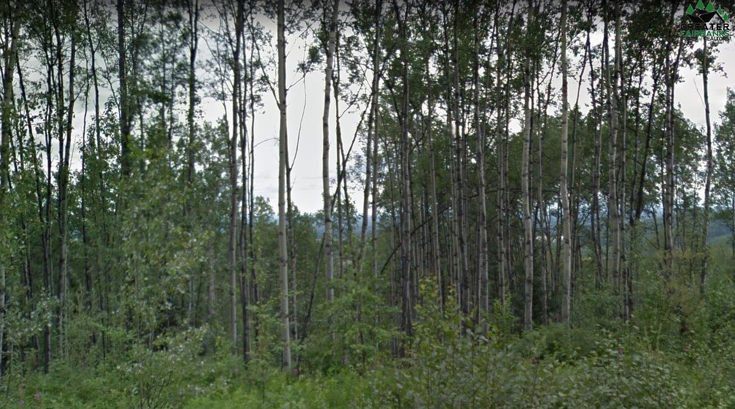 Nhn Ridgepointe Dr LOT 2 Fairbanks, AK 99709 - Thumbnail 2