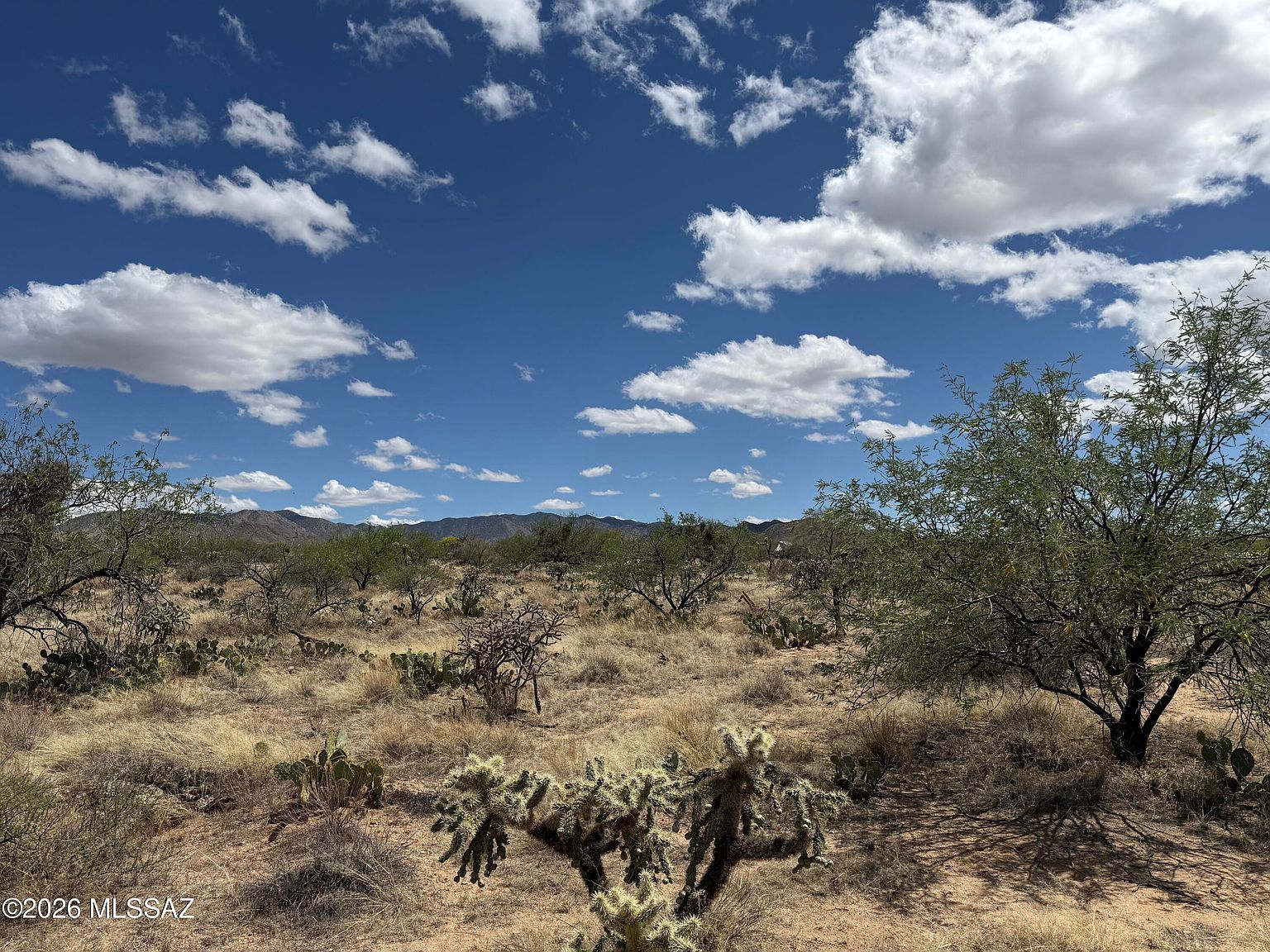 15341 S Brookfield Ave #65 Tucson, AZ 85736  | Land/Lot
