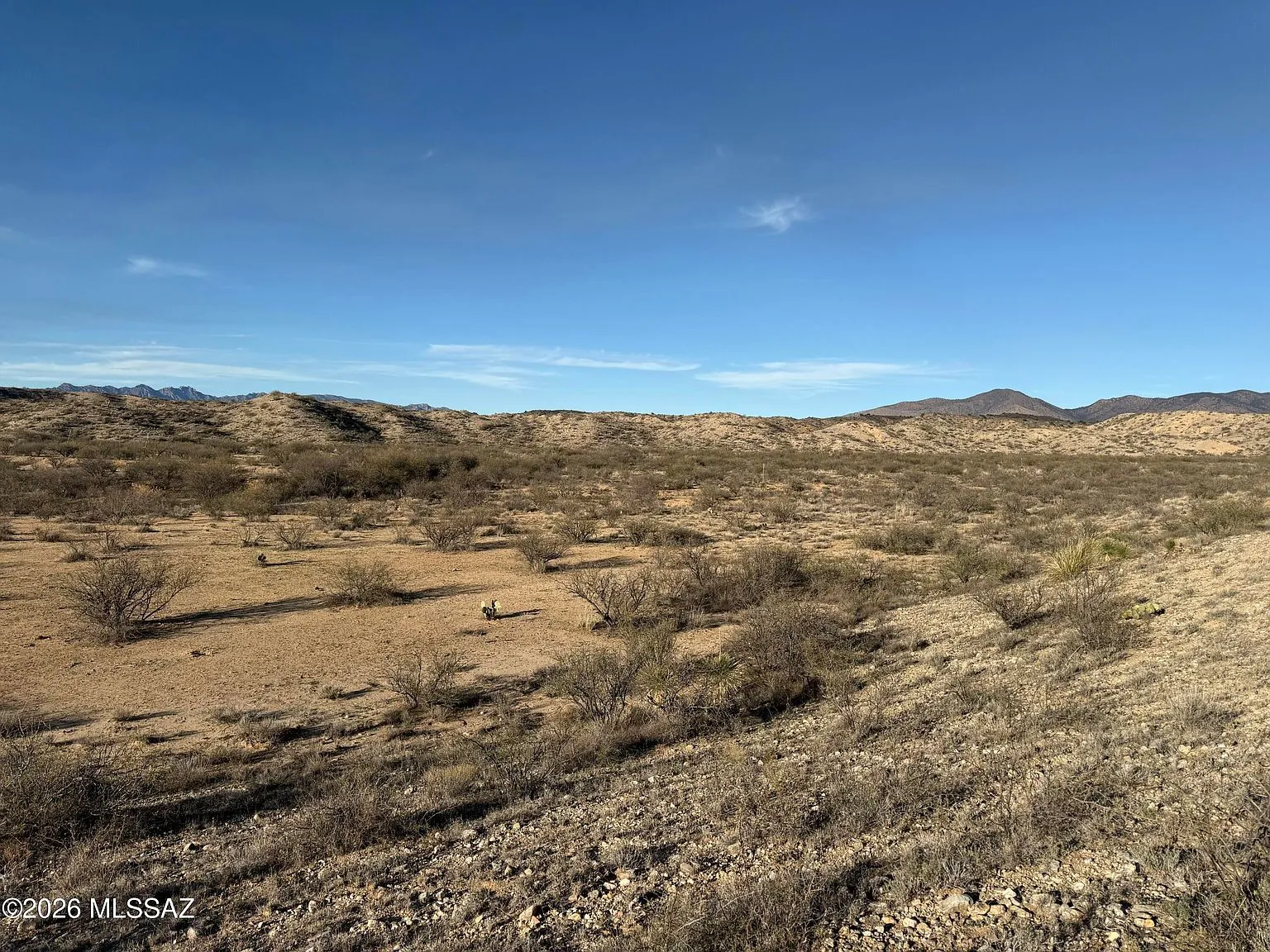 S Four Feathers Loop #83 Willcox, AZ 85643 | Land/Lot