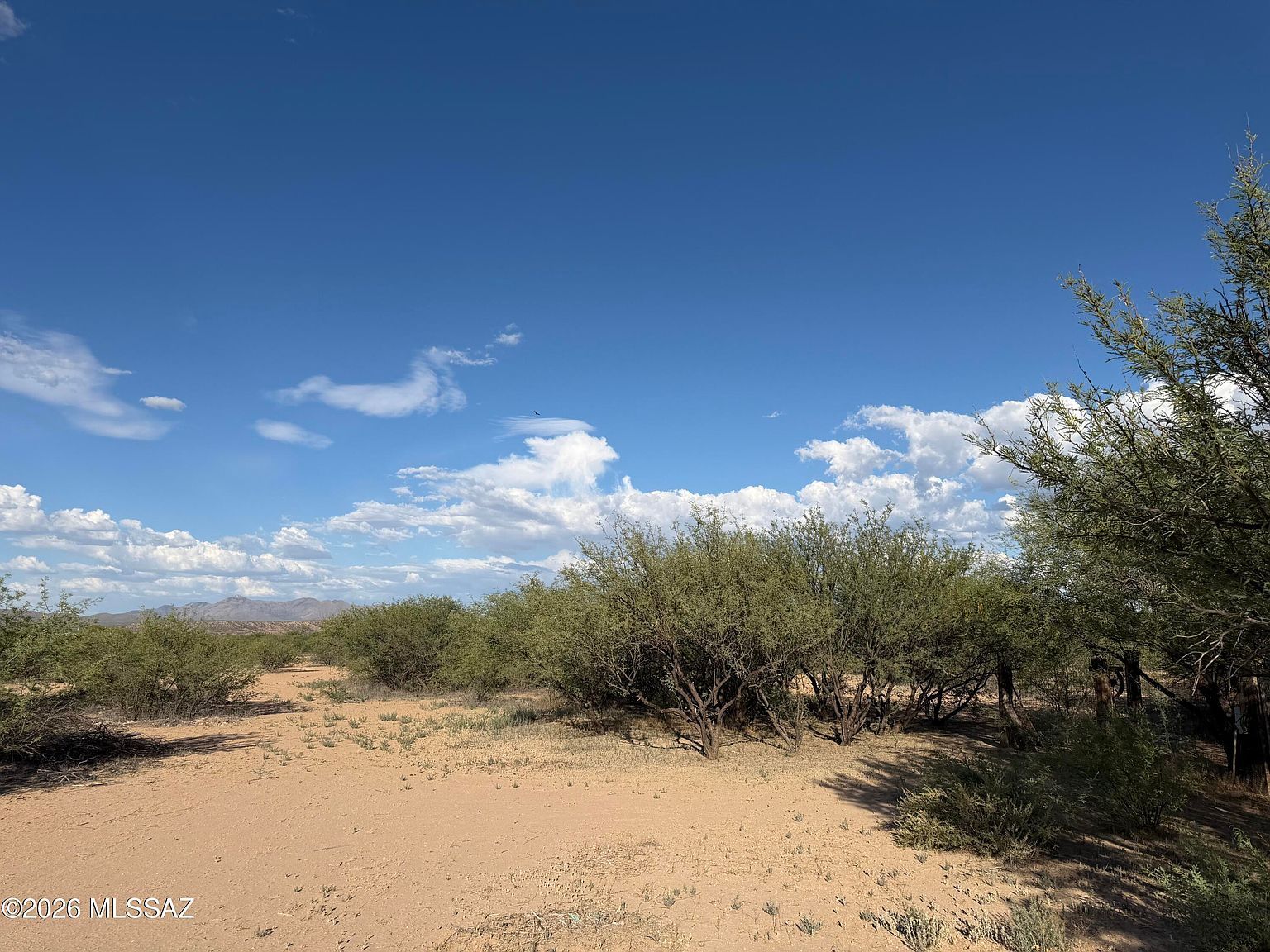 W Carefree Ln #389 Benson, AZ 85602, 85602