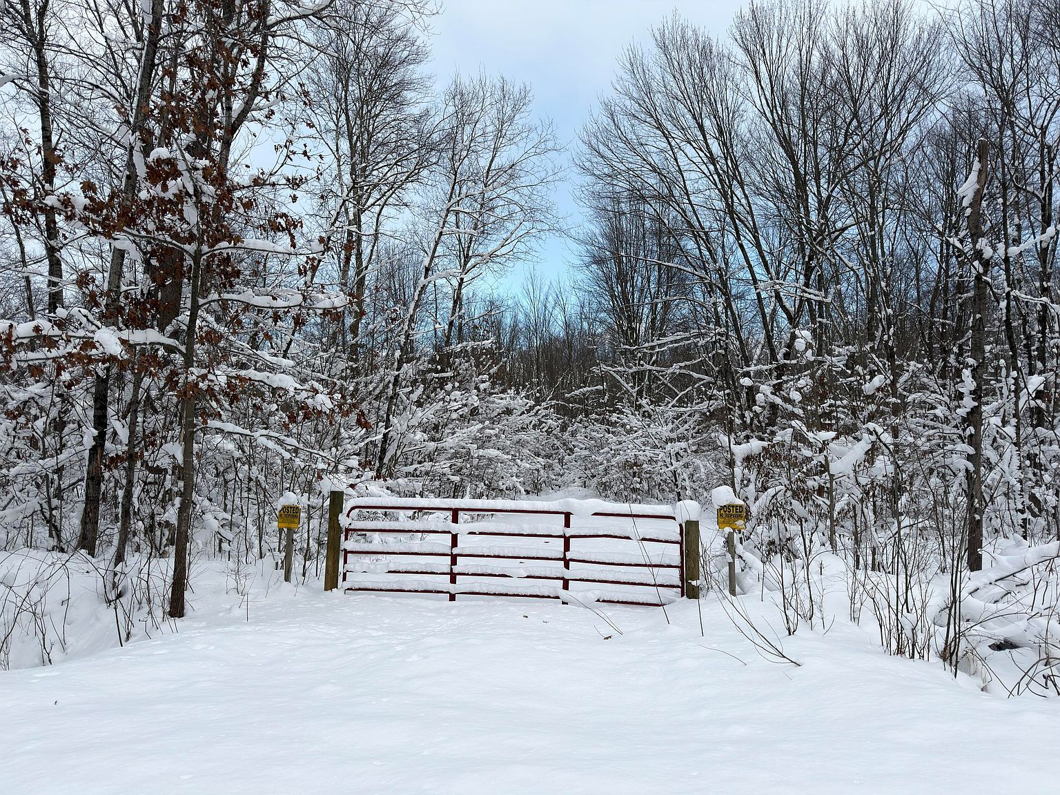 10830 W Three Mile Rd Branch, MI 49402 - Thumbnail 2