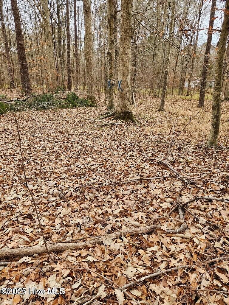 146 Tranquility Ln Lot 43 Hertford, NC 27944  | Land/Lot