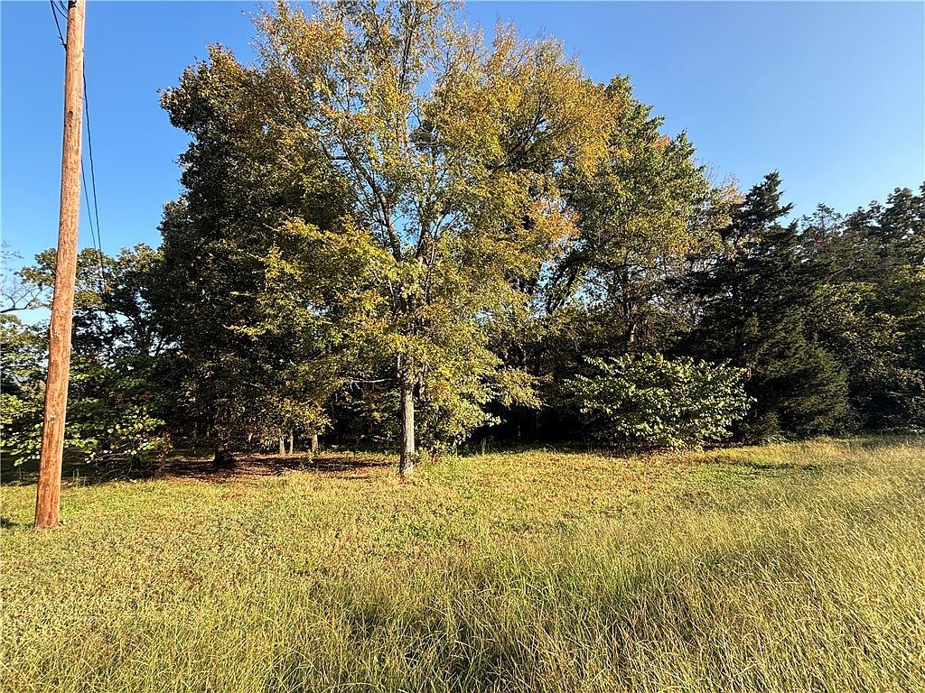 Harding Blvd #31-19-14 Cotter, AR 72626 - Thumbnail 2