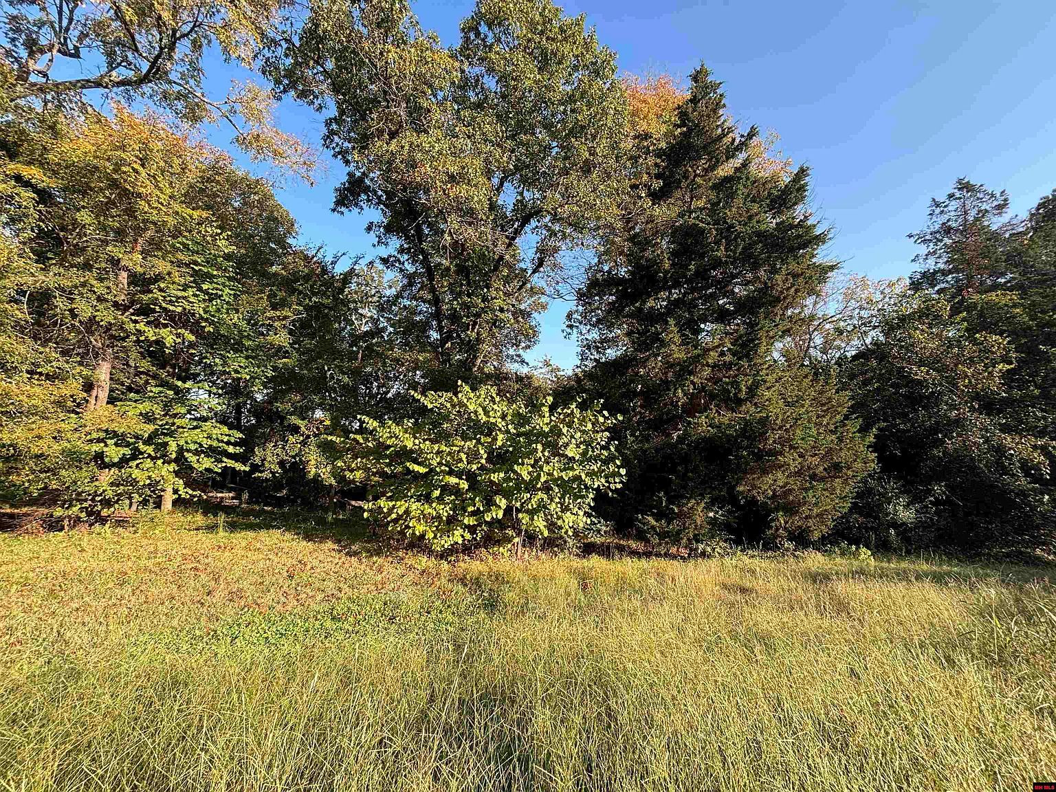 004-00426-001 Harding Blvd Cotter, AR 72626 - Thumbnail 2