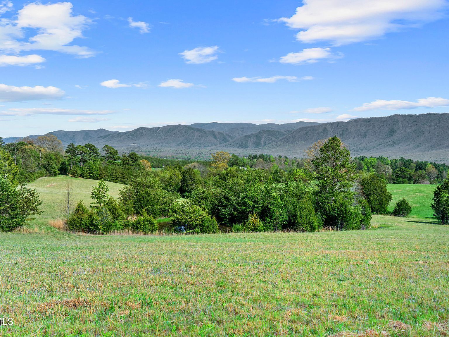 9 Ash Meadow Dr Greeneville, TN 37743  | Land/Lot
